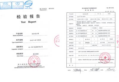 安全逆止閥