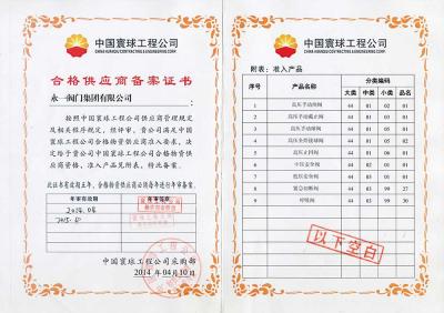 2015中國寰球