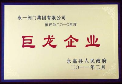2010巨龍企業